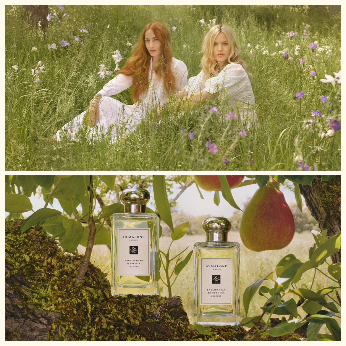 1170x1170px_Brand Highlight Teaser_JML_English Pear.jpg