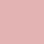 No. 717 Scandalous Rose