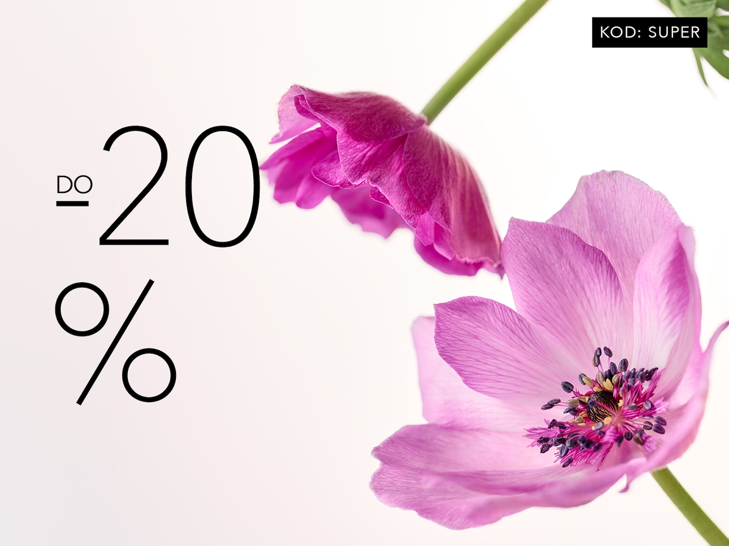 Baner promujący ofertę dla zalogowanych. Do -20% przy zakupach od 99 zł z kodem SUPER. Tylko online i w aplikacji. Kup teraz!