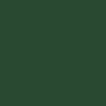 11 - CAMOUFLAGE GREEN