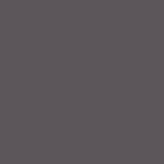 03 Metallic Brown