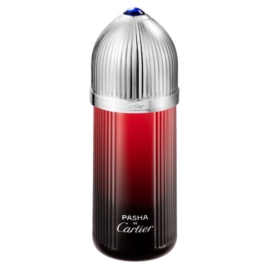 Pasha de Cartier Edition Noire Sport