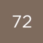 72 - WARM TAUPE