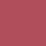 364 - PINKY GROOVE