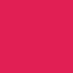 784 - Rose Rose
