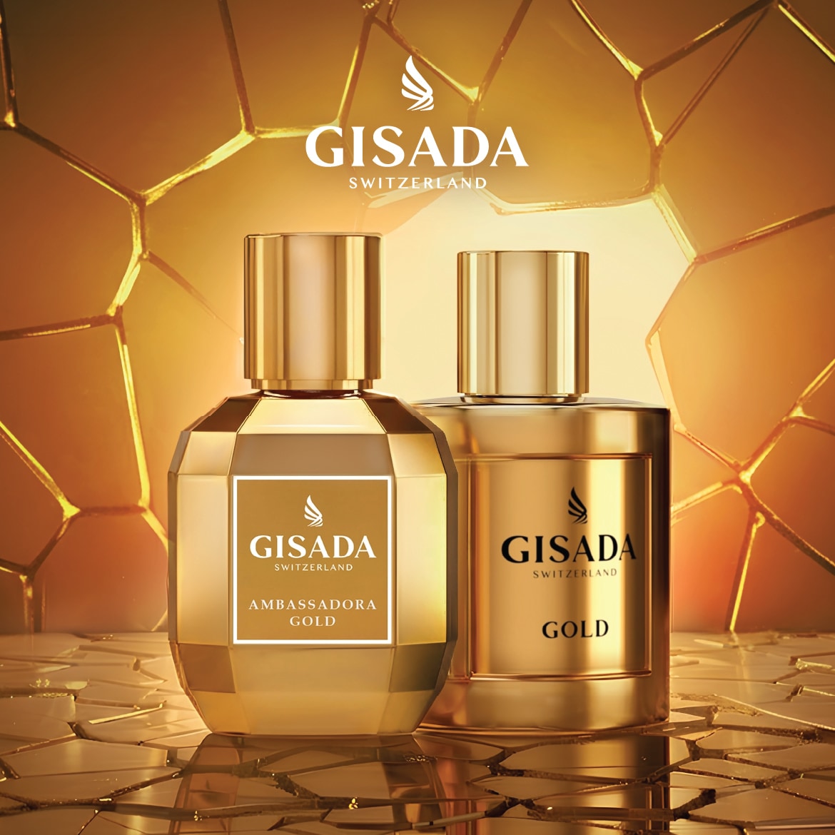 Brand Highlight Teaser_1170x1170px.jpg