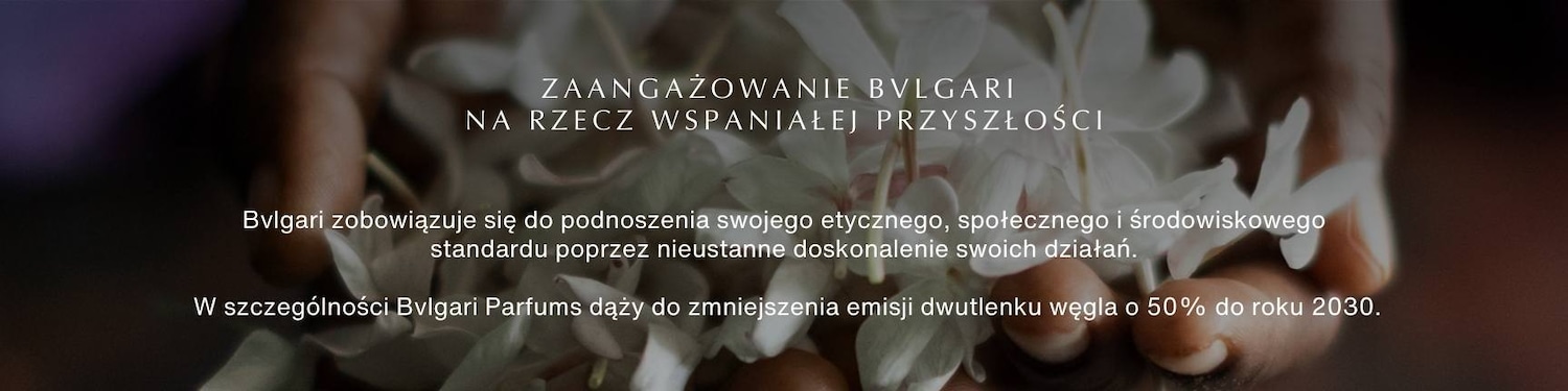 CSR_banner 1726x432 px.jpg