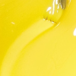 NLF91 - EXOTIC BIRDS DO NOT TWEET