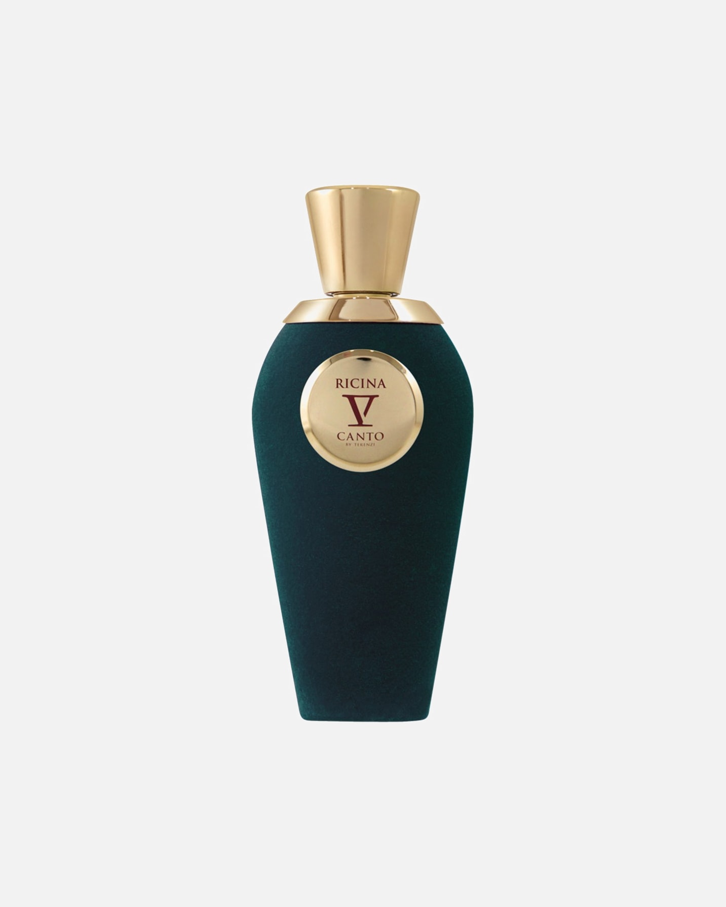 Woda perfumowana dla Mężczyzna V CANTO Ricina 100 ml