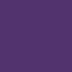 05 - IRIS