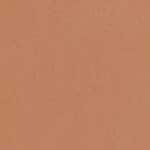 MEDIUM TO TAN SKIN WITH COOL UNDERTONES