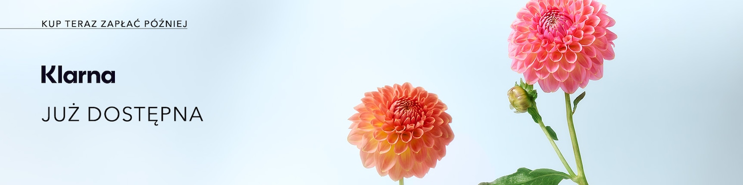 KLARNA BANERY_8_04_WEW_Goldteaser 1726x432.jpg