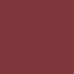 07 - VISIONARY - MINI SIZE