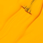 NLL23 - SUN, SEA AND SAND IN MY PANTS