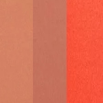 Babe From St. Tropez