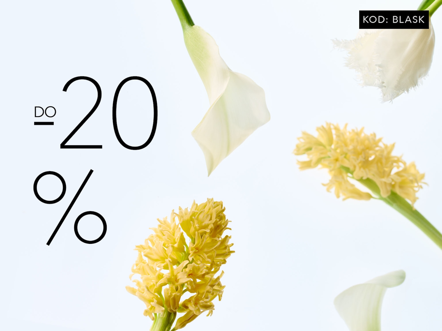 PREZENT MAJOWKA_WEWSPLIT TEASER_2001x1500.jpg