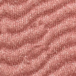 11 - BRIGHT ROSE - Mini