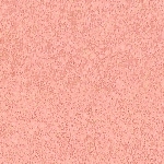 20 - PINK SHELL