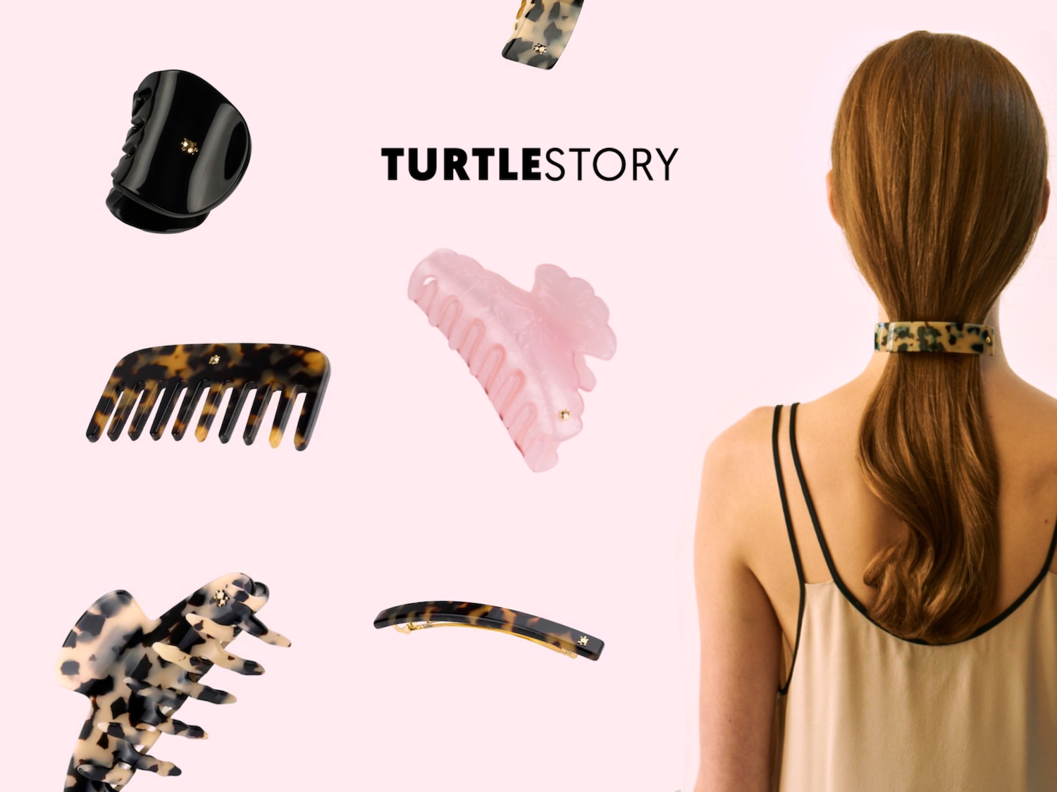 Turtle Story - Split Teaser.png