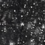 394 Sparkling Midnight Date