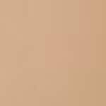 305N (previously 048)