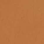 TAN SKIN WITH WARM UNDERTONES