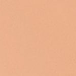 310 - BISQUE BEIGE CENDRE