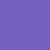 violet iris