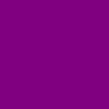 violet iris