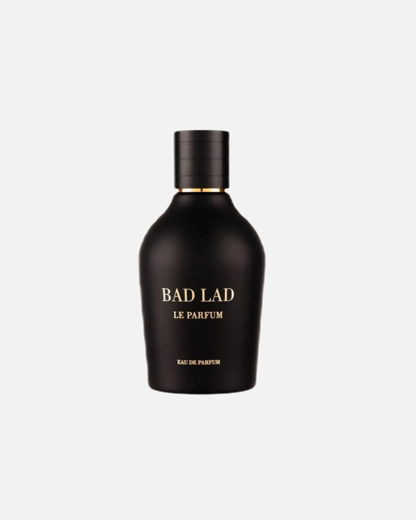 Woda perfumowana dla Mężczyzna Fragrance World Default Brand Line Bad Lad Le Parfum 100 ml