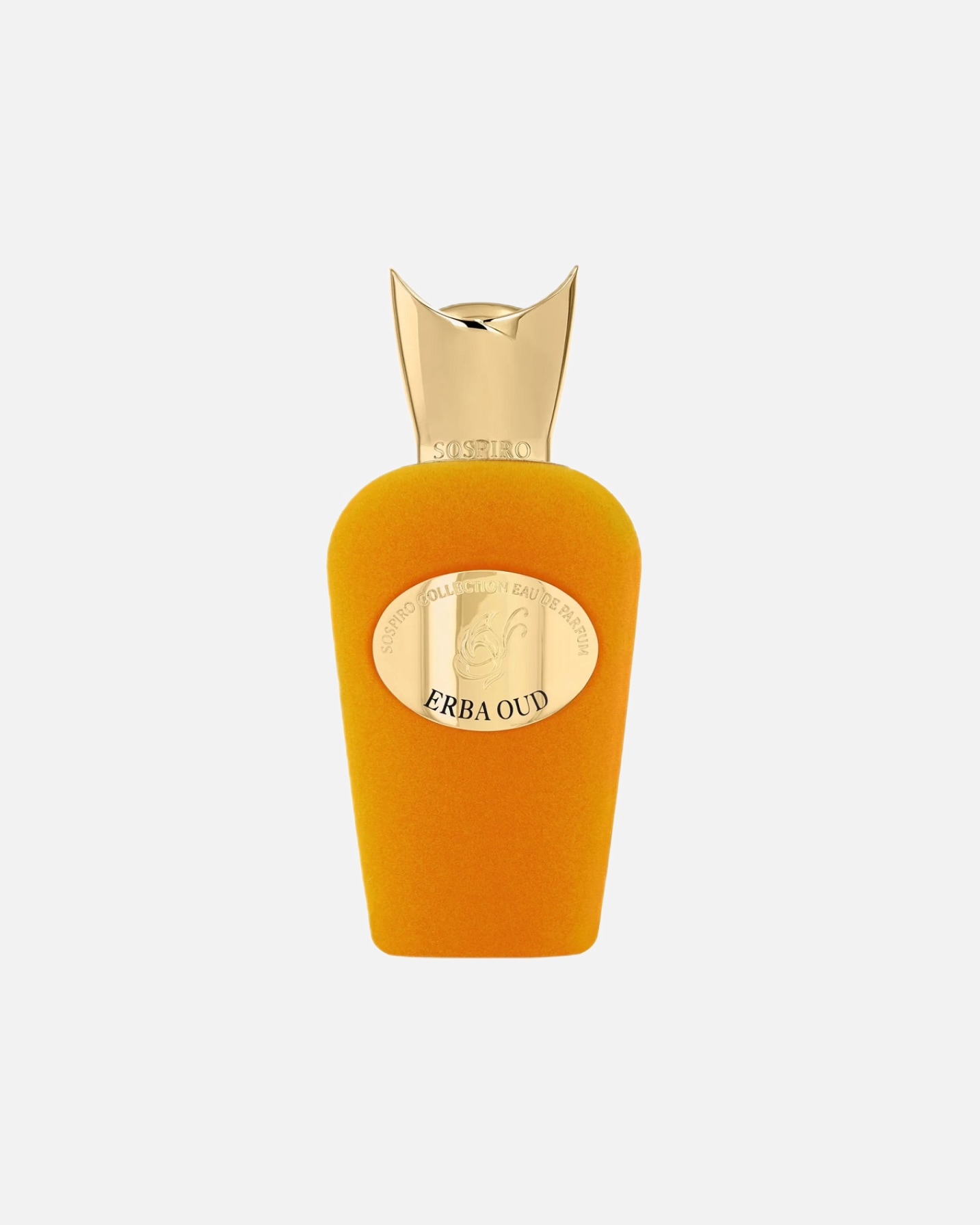 Woda perfumowana dla Unisex Sospiro Erba Oud 100 ml