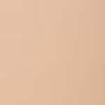 110C (previously 008)