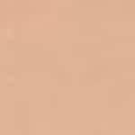 5.5NR - NEUTRAL ROSE