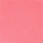 1 - CORAL ROSE - Mini