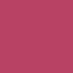 04 - PLUMPED UP PEONY