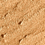 4 - GOLDEN CHOCOLATE