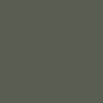 05 Olive Green