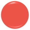 047 - SPICED CORAL