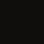300 - INTENSE BLACK