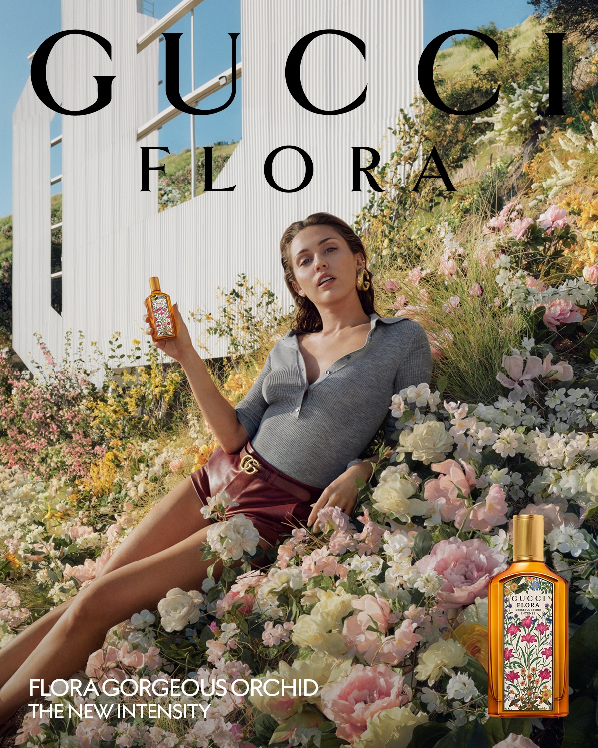 recoteaser_Gucci_1200_1500.JPG