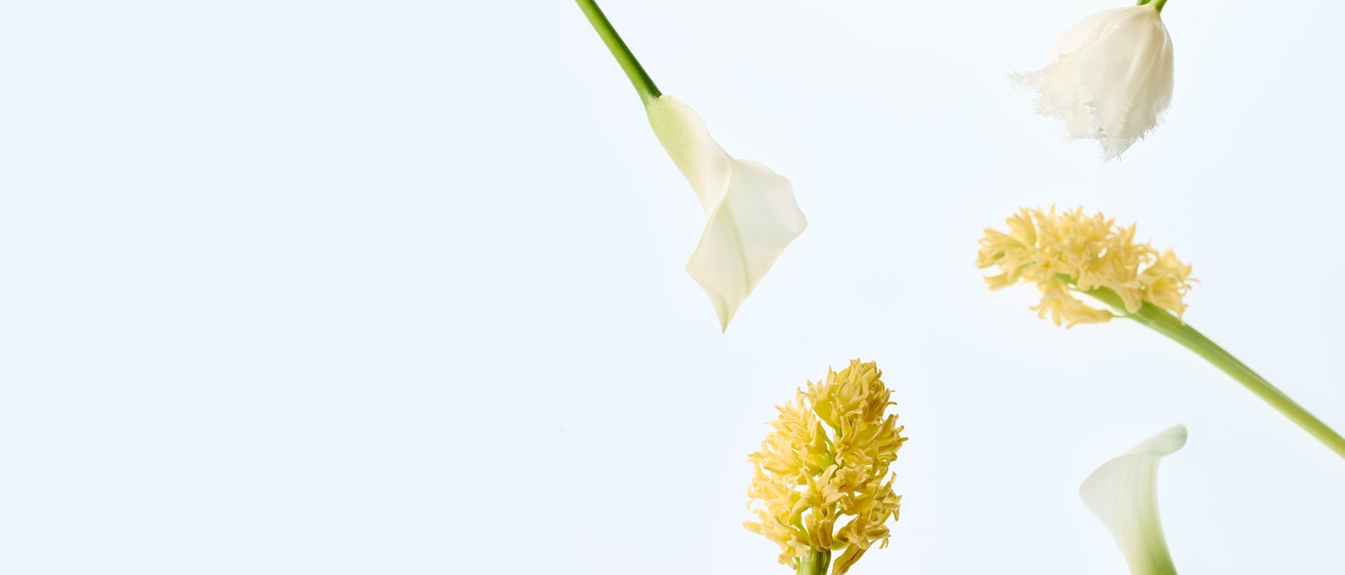 test do platyn html_Hero-XL-3072x1314.jpg