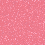 103 - ROSE PARISIENNE