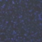 BLUE AMBER